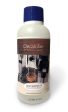 Descaler For Espresso Machines (5 Time Use) For Discount